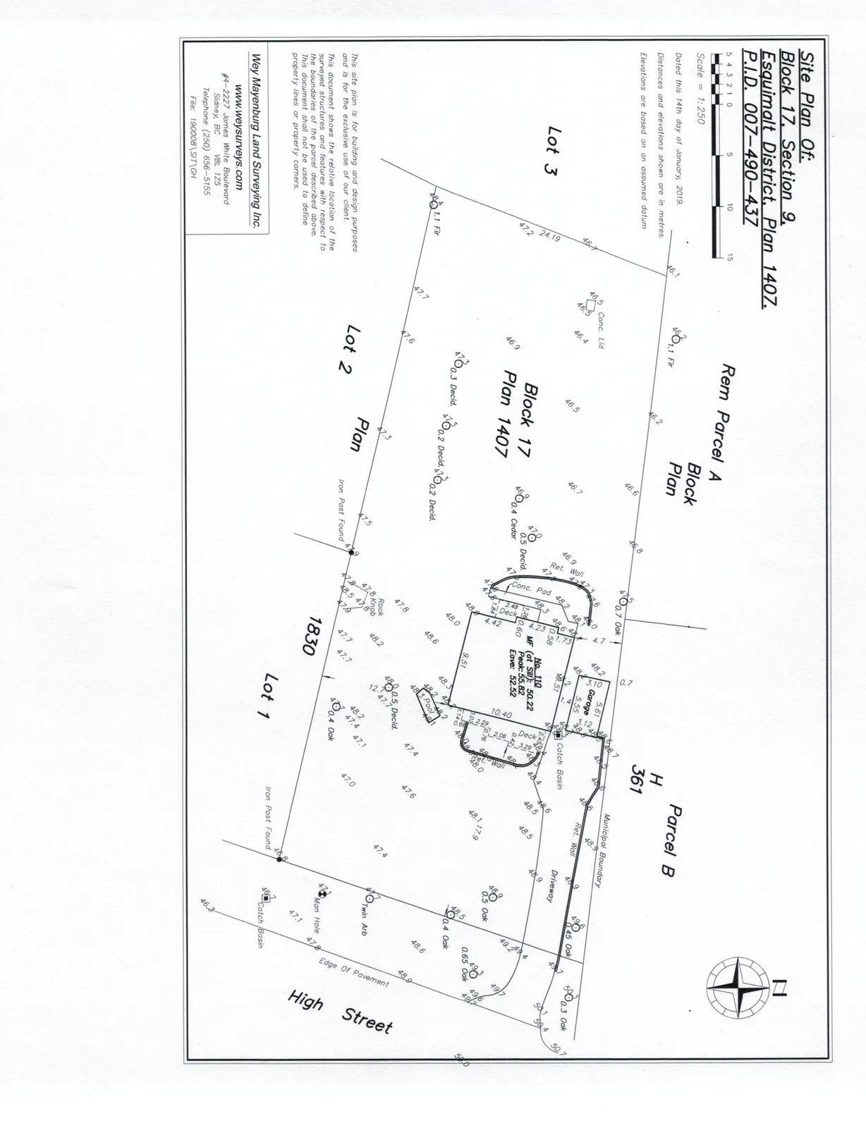 Technical site plan survey showing property boundaries for Lot 2, Block 17, Plan 1407, adjacent lots (Lot 1, Lot 3, Rem Parcel A, Parcel B), existing house at No. 110, trees, elevations, and High Street frontage.