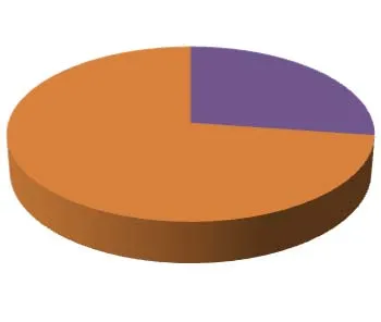 3D pie chart showing the distribution of permit types for the month