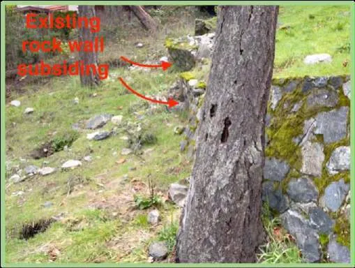 Photo showing evidence of the existing rock wall subsiding