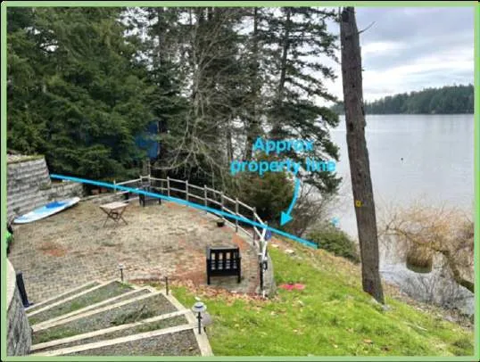 Photo showing the approximate property line and neighboring trees