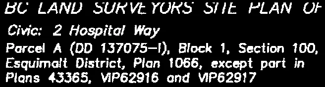 Survey details text block for the 2 Hospital Way site plan