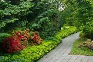 Winding stone path through lush greenery and red-leafed shrubs