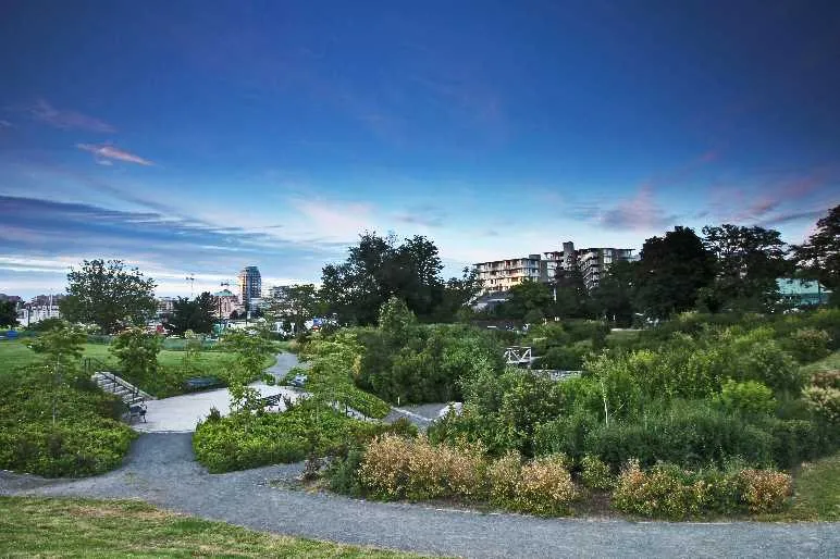 Densely planted naturalized area with various shrubs
