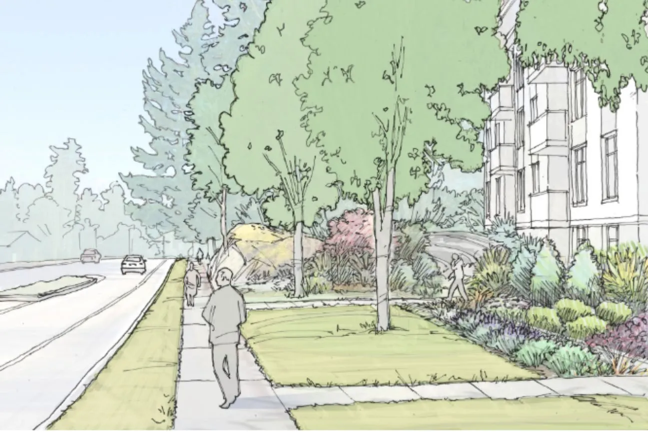 Sketch rendering of the streetscape showing sidewalk and landscaping