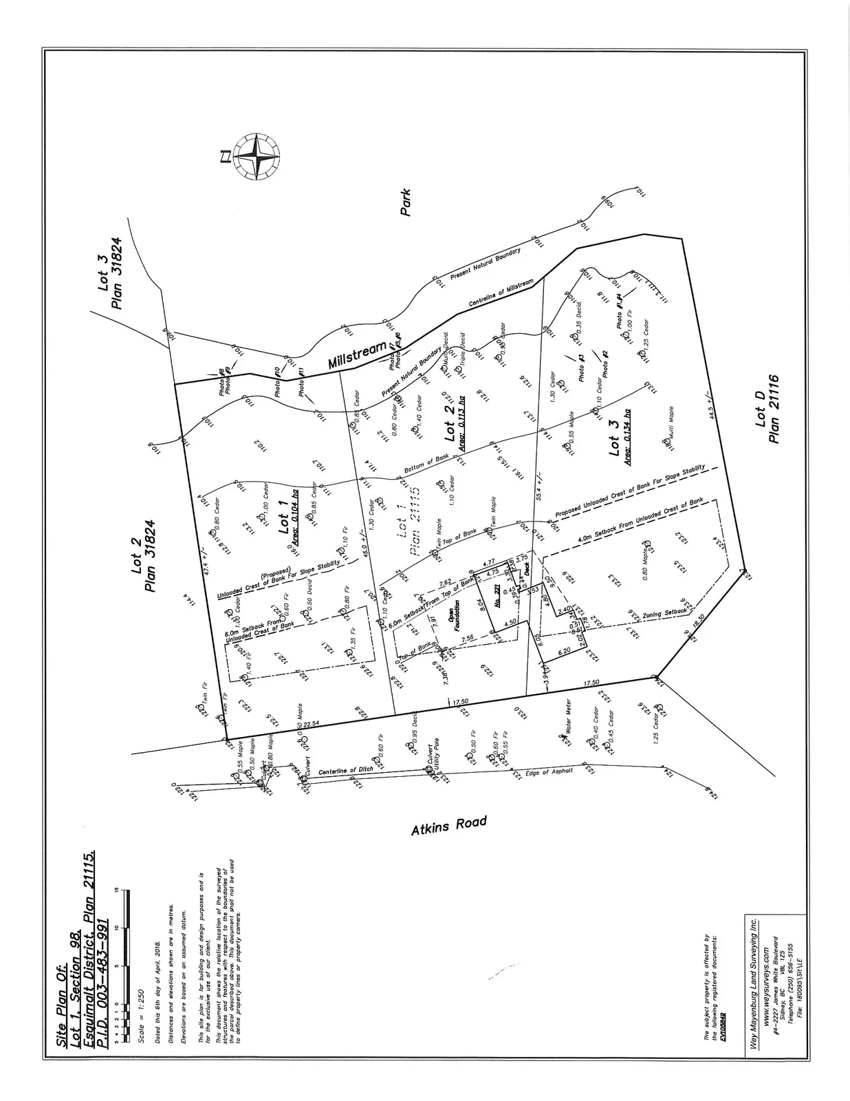 Detailed topographic site plan of Lot 1 Plan 21115 showing a proposed three-lot subdivision, existing foundations at No. 221, tree locations, elevations, setbacks from Millstream, and proximity to Atkins Road.