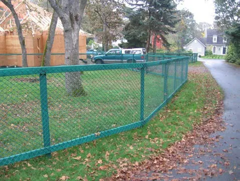 Green chain-link tree protection fencing around existing trees