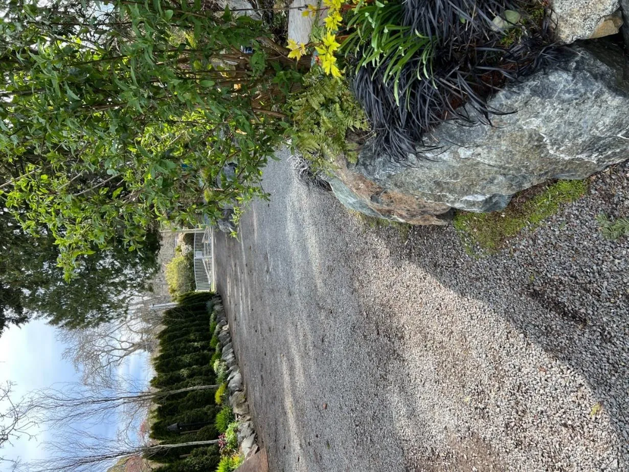 Gravel driveway bordered by trees and large rocks with ornamental plants