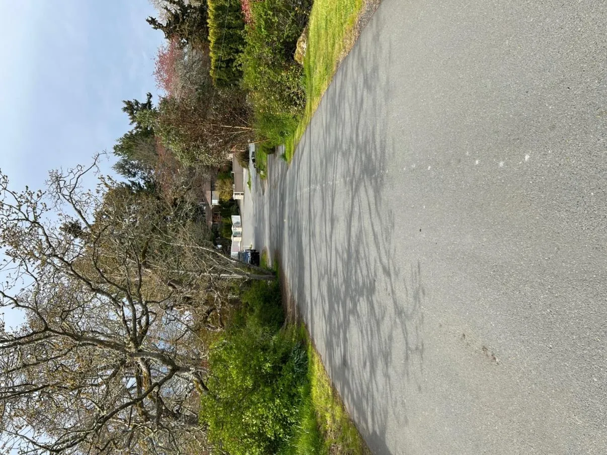 View down an asphalt road lined with trees and landscaping