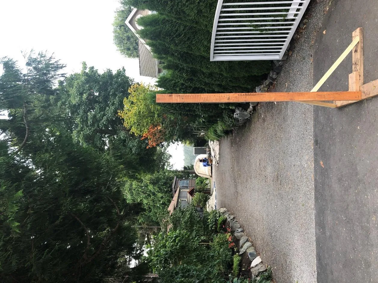 Southward view down the driveway with string set-up for demonstration purposes