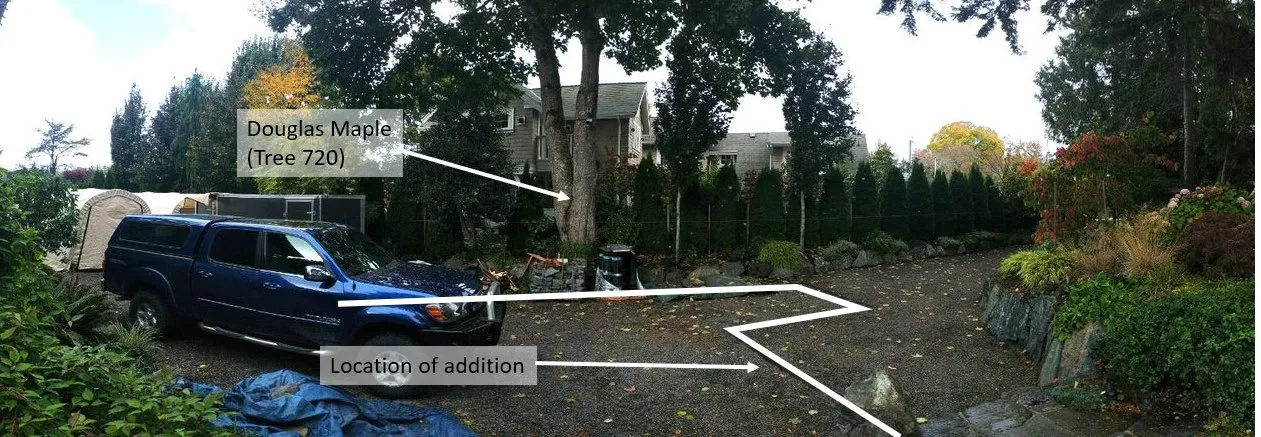 Panoramic site photograph identifying the location of the addition and the Douglas Maple (Tree 720)