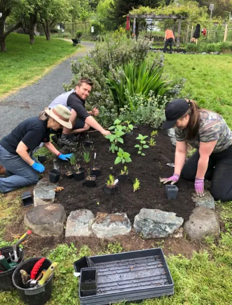 Volunteers planting a pollinator bed at Welland Legacy Park