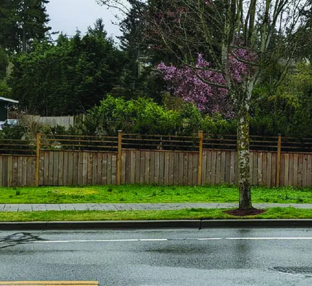 Comprehensive site plan showing 20 townhome units, internal paths, and landscaping