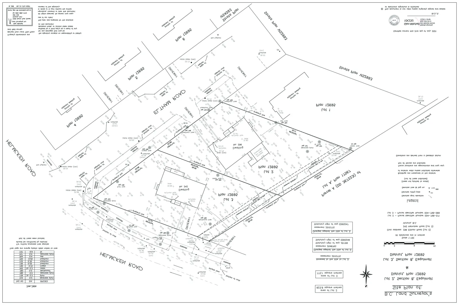 Detail of survey plan showing lot lines and existing dwellings