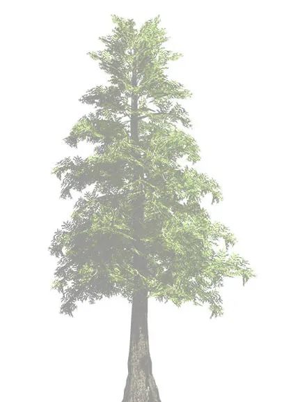 Pink flowering tree rendering
