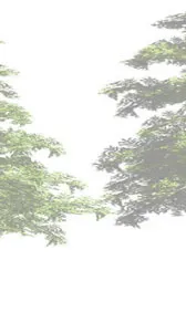 Part of tree branch rendering