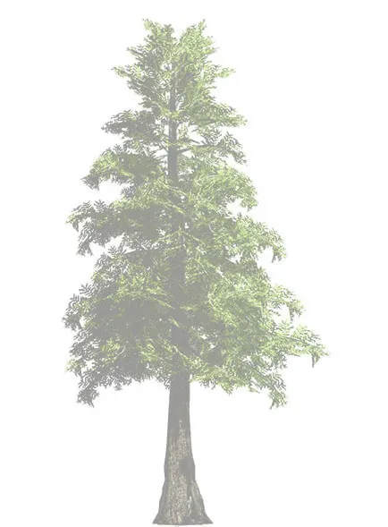 Part of tree branch rendering