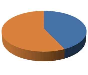 Pie chart showing the distribution of permit types for the month