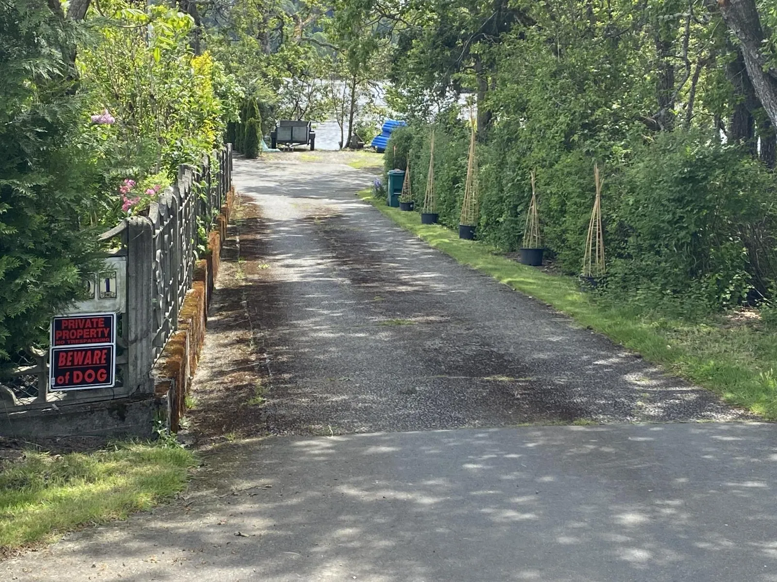 A paved driveway leading towards a body of water, flanked by dense green foliage. On the left side, a fence features two signs that read "PRIVATE PROPERTY NO TRESPASSING" and "BEWARE of DOG". Along the right side of the driveway, a series of potted plants with tall wooden supports are lined up on the grass.