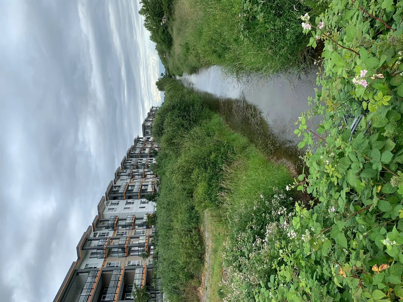 Photo of a narrow stream running between natural vegetation and multi-story residential buildings