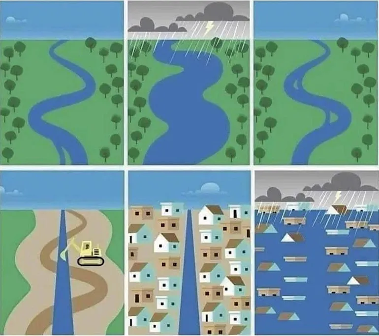 Six-panel illustration comparing the flood management of a natural meandering river with trees versus a straightened, urbanized channel