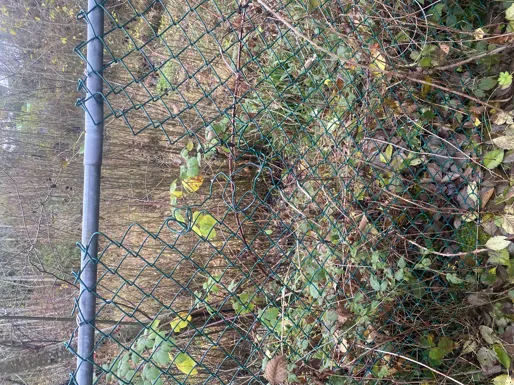 Section of safety fencing breached and sagging