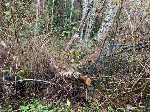 Safety fence line obscured and damaged by dense brush and fallen wood