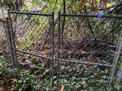 Double-panel maintenance gate completely overgrown and blocked by dense vegetation