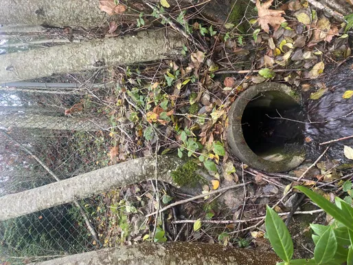 Concrete pipe outlet partially blocked by sediment and surrounded by debris