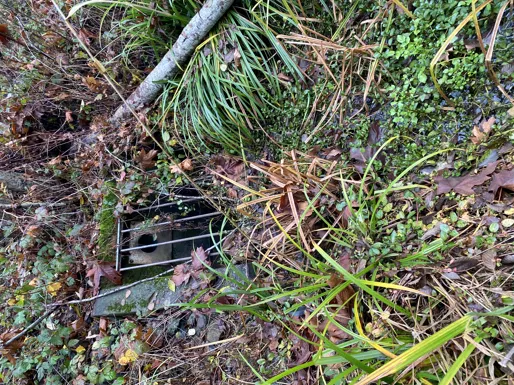 Metal trash rack heavily obstructed by debris and leaf litter