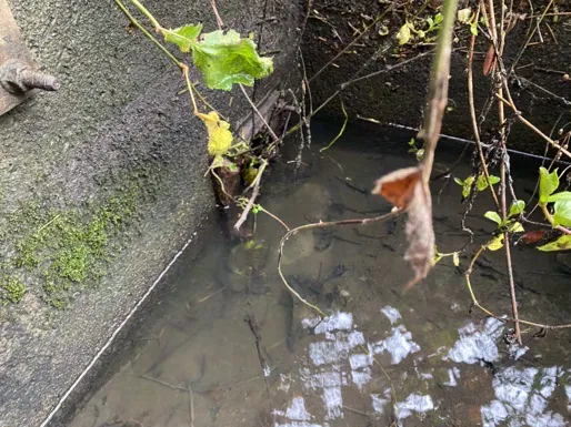 View into a concrete structure showing saturated sediment, high turbidity water, and sludge