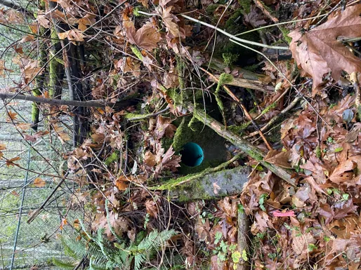 Obstructed drainage structure buried under thick layers of leaf litter and woody debris