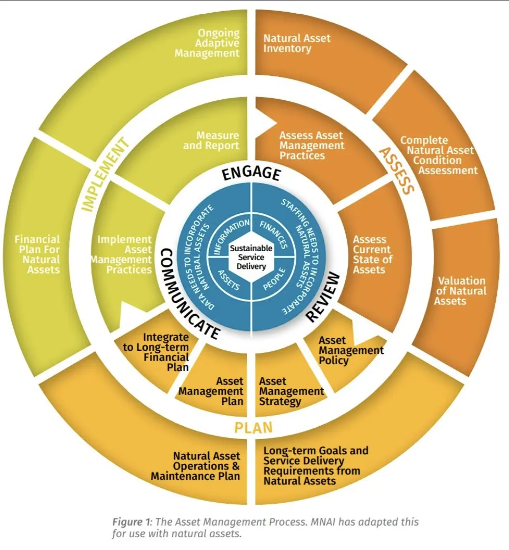 Circular diagram of The Asset Management Process adapted for use with natural assets, illustrating the stages of Engage, Assess, Plan, and Implement.