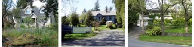 Photo of a detached home with a large front yard and mature trees