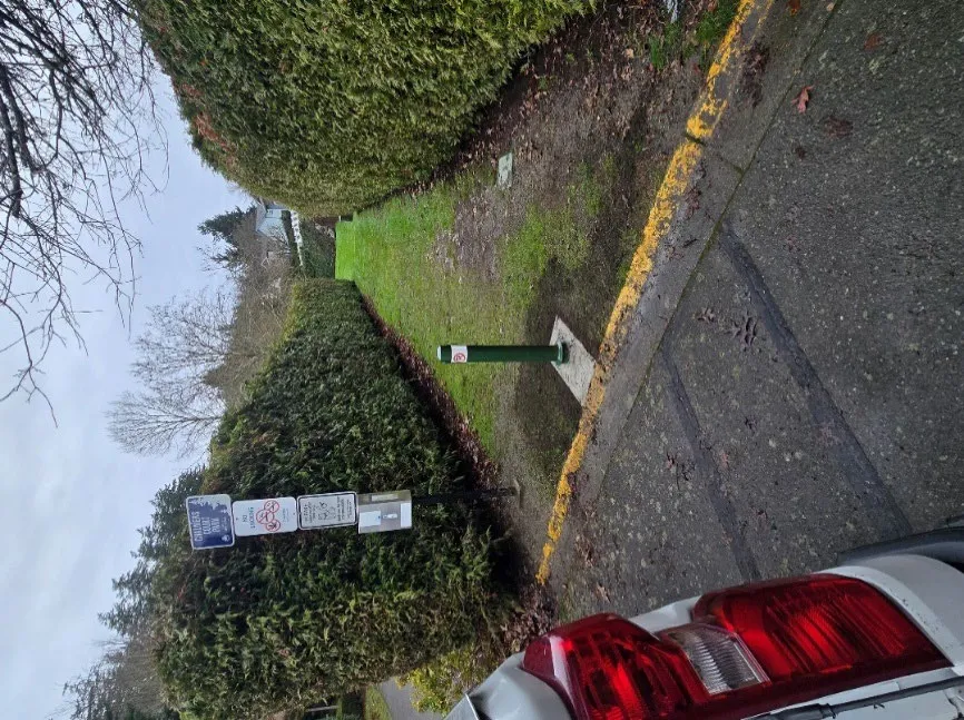 Photo of a new green removable bollard installed at the paved entrance to a park pathway