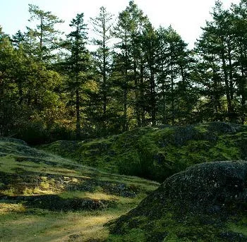 Circular inset photo showing a tree in rural areas overlooking a landscape