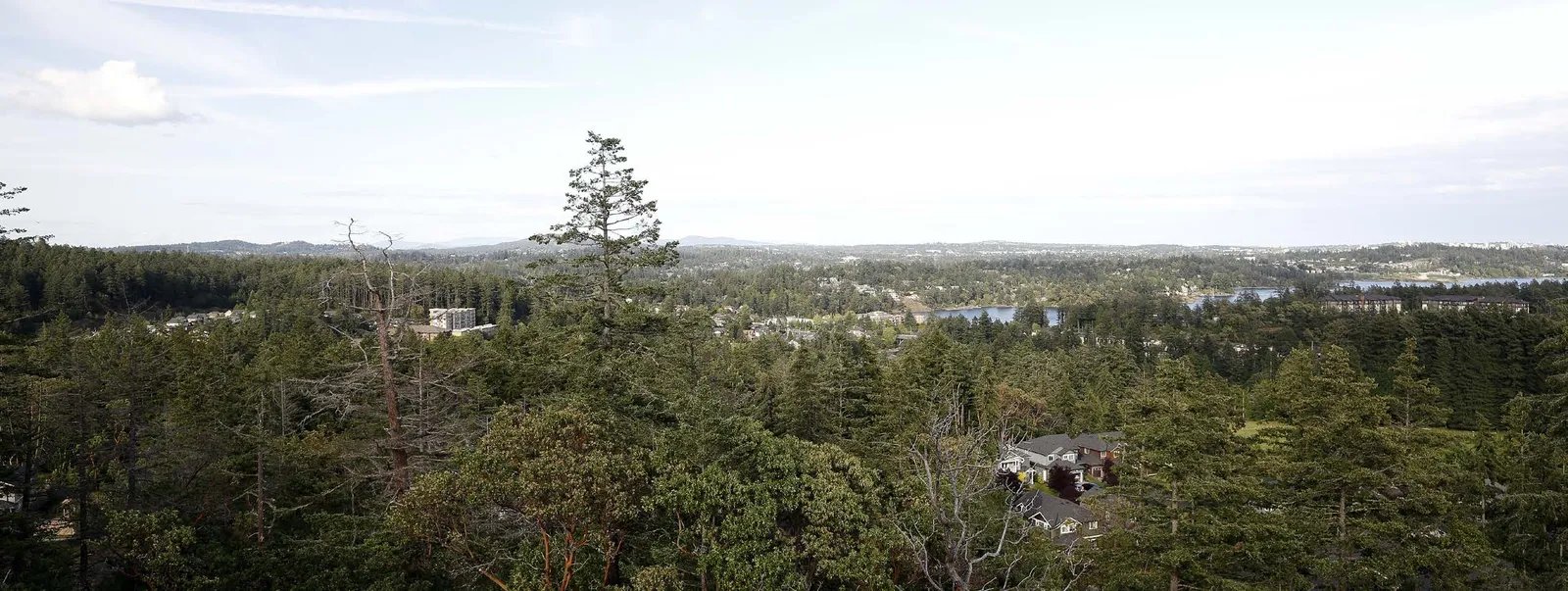 Edwards Park Viewpoint (Kevin Light Photo)