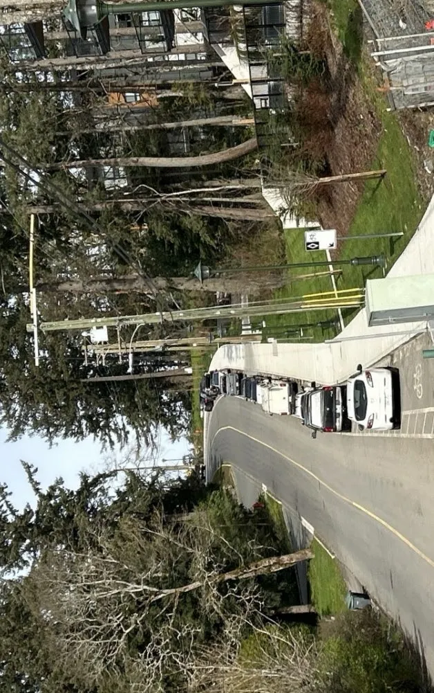 Overhead photo showing a line of several cars parked illegally within the buffered bike lane and partially blocking the sidewalk on Erskine Lane.