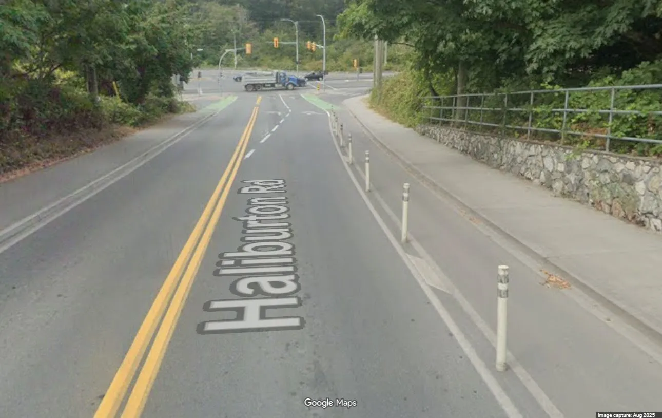 Street view photo of Haliburton Rd showing flush-mounted white delineator posts separating a bike lane from vehicle traffic.