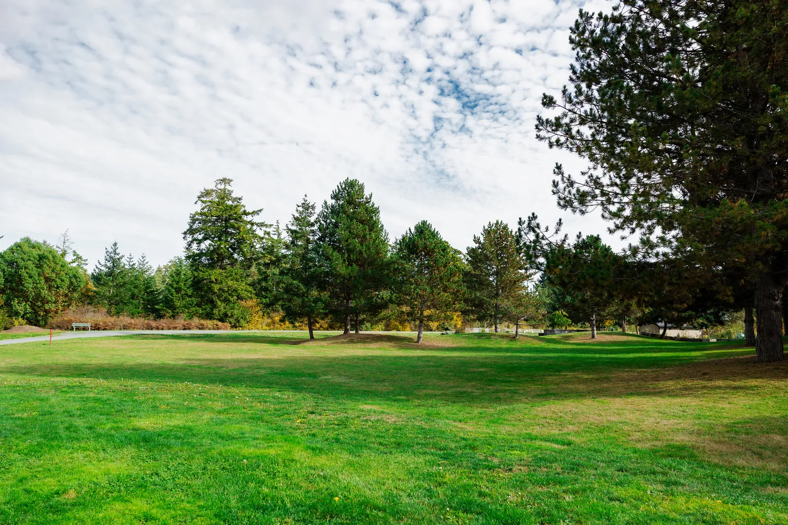Large green field with scattered trees