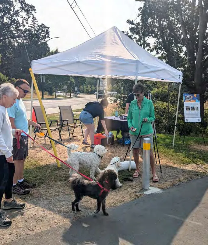 Residents with their dogs gathered at an outdoor engagement pop-up booth