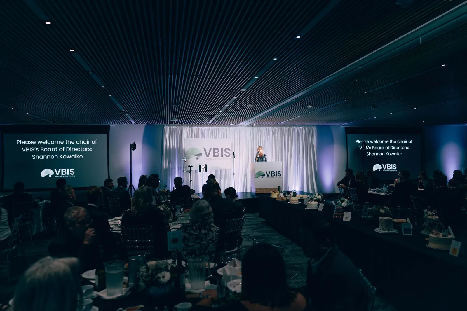 Wide shot of attendees at the annual gala event