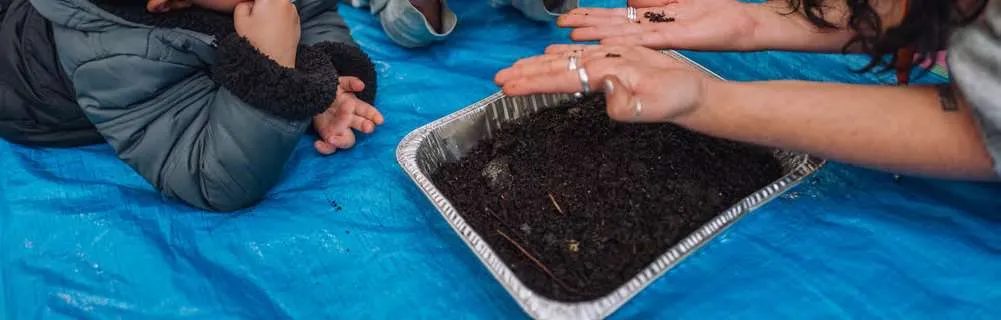 Close-up of soil in a metal tray with a person's hands nearby