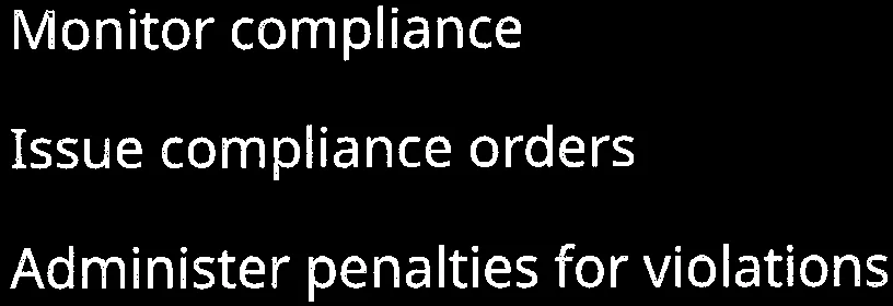 Enforcement unit duties