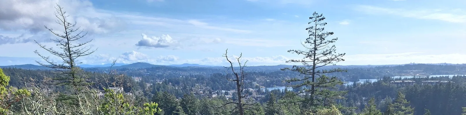 Panoramic view from a high point in View Royal showing forests, houses, and water in the distance