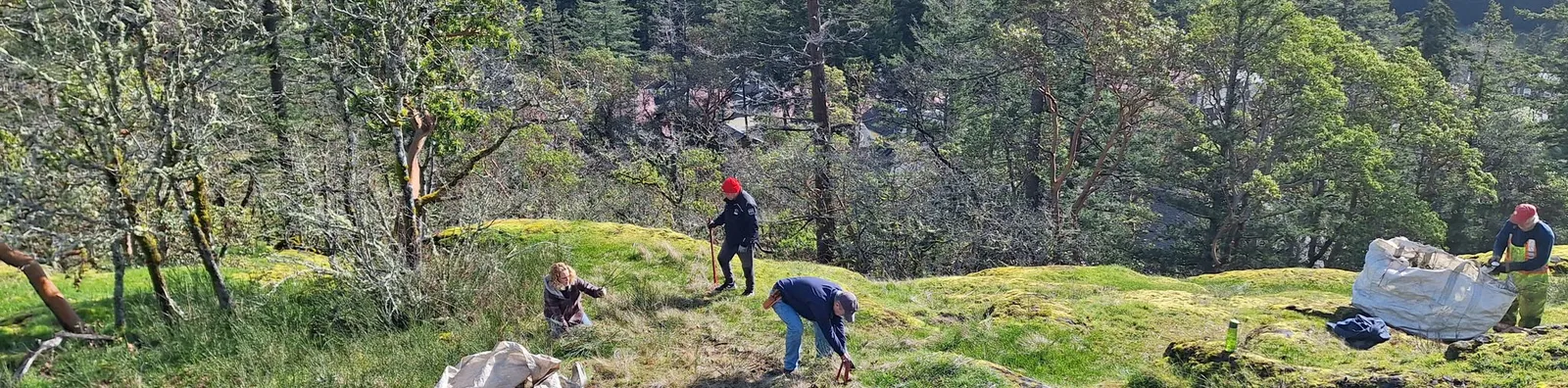 Volunteers wearing high-visibility and outdoor gear working on a grassy hillside, with a large white collection bag