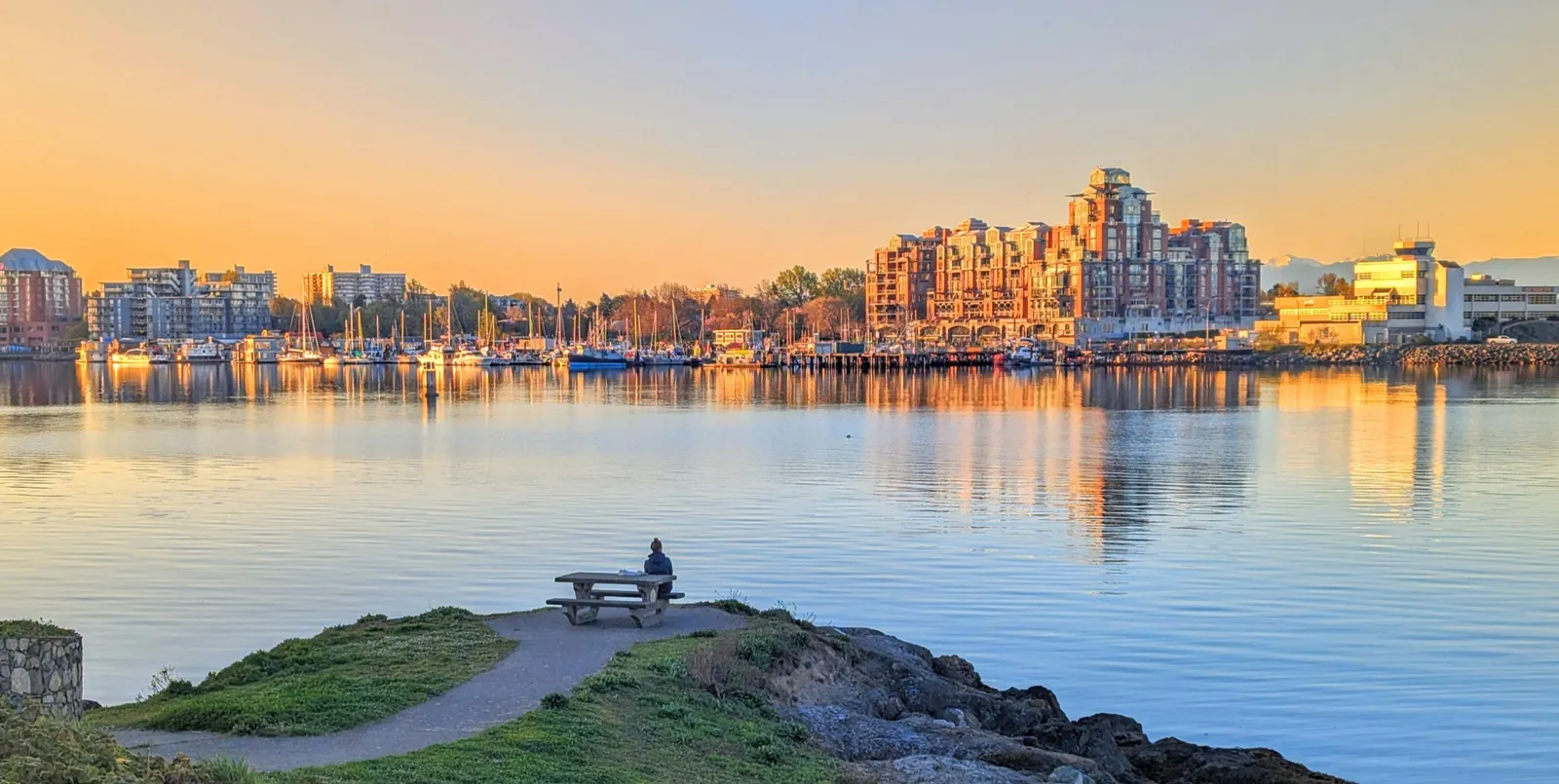 Scenic view of the Greater Victoria harbor at sunset with city buildings and a person sitting at a picnic table in the foreground
