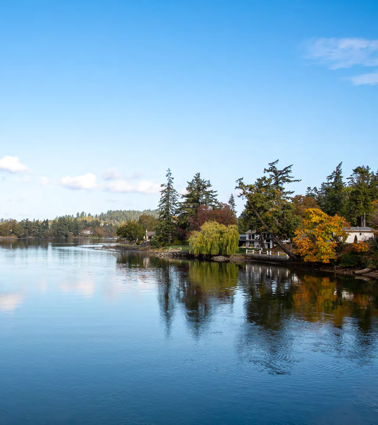 Scenic view of Esquimalt Harbour with autumn foliage and waterfront homes