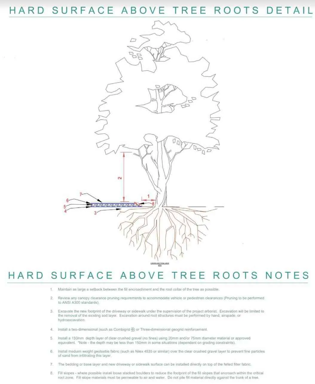 Cross-section diagram of hard surface above tree roots detail with numbered callouts corresponding to the notes below.