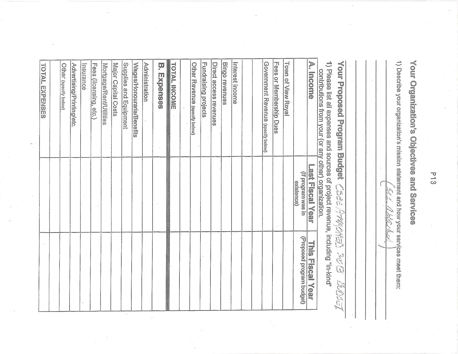 Your Organization's Objectives and Services form details
