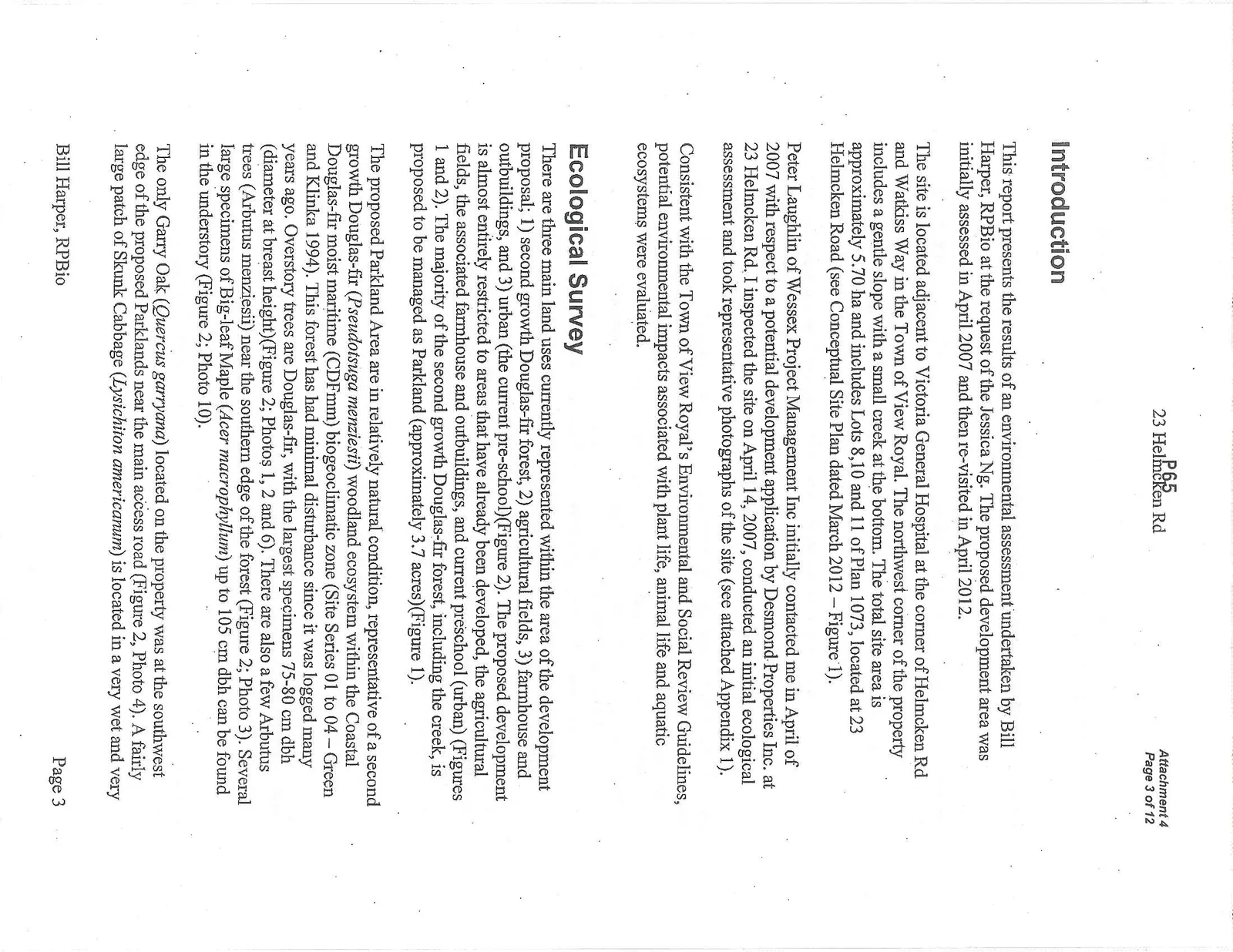 Document image